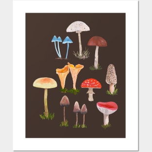 Mushrooms Posters and Art